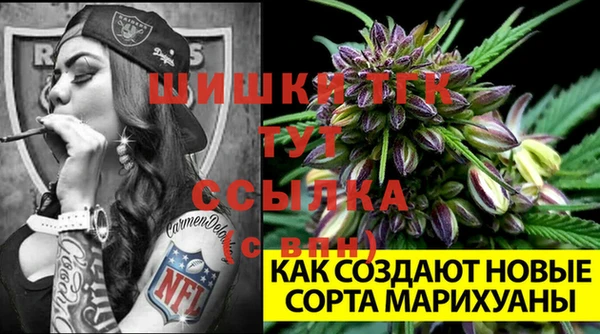 стафф Аркадак