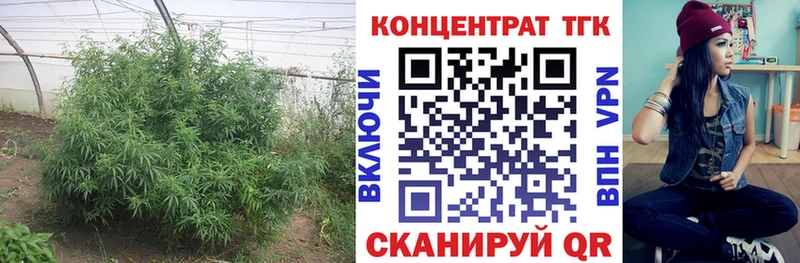 blacksprut зеркало  Выкса  ТГК жижа 