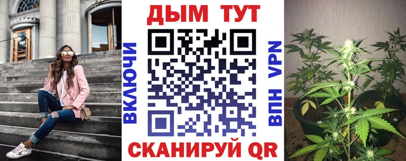 darknet как зайти  МЕГА ССЫЛКА  Выкса  Каннабис VHQ 